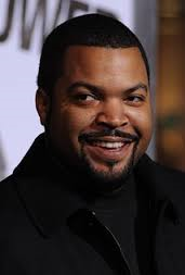 Book Ice Cube