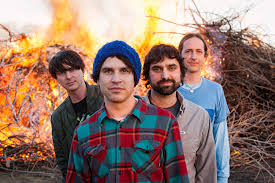 book Animal Collective