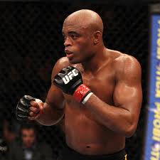 book Anderson Silva