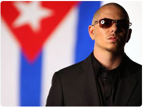 Book Pitbull